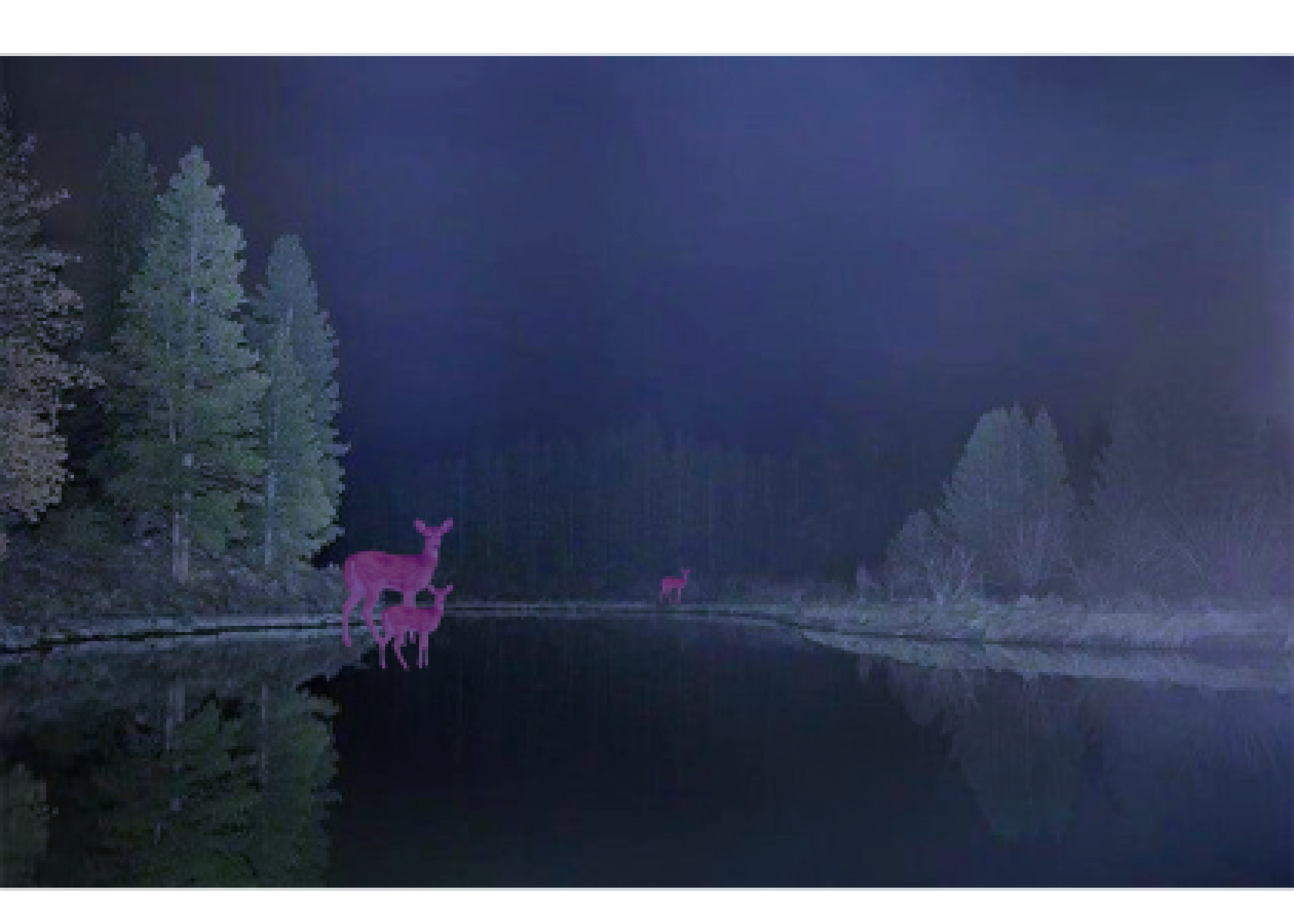 A wide shot overlooking a liminal lake, fog hangs low on the water. A group of pink deer stand, both on the edge and along the rim of the water, staring down the viewer.